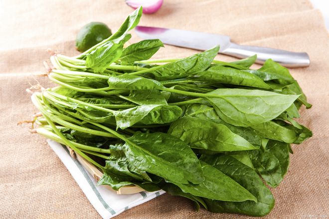 春季大棚种植菠菜时间和方法